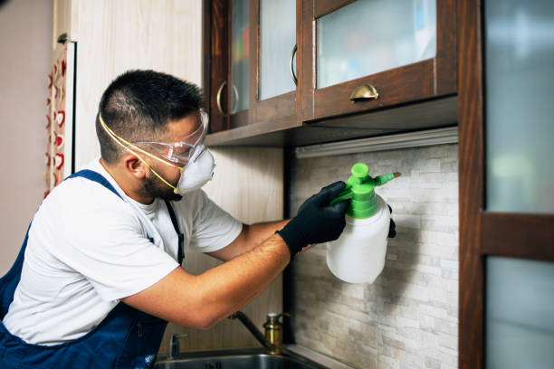 Reliable Woodbourne, PA Pest Control Solutions
