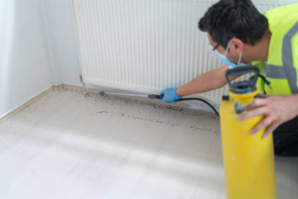 Best Wasp Removal Services  in Woodbourne, PA