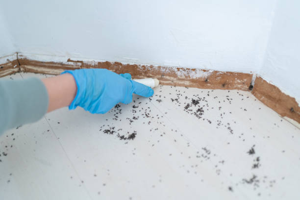 Best Pest Removal Services  in Woodbourne, PA